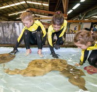 Australian Shark and Ray Centre