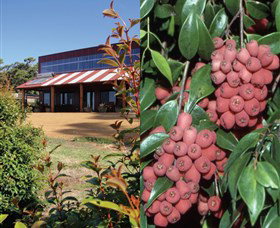 Bushfood Factory And Cafe - Accommodation Batemans Bay 0