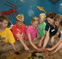 Naturaliste Marine Discovery Centre - Accommodation Batemans Bay
