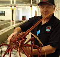 Lobster Shack - Accommodation Batemans Bay