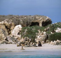 Jurien Bay Marine Park - Accommodation Batemans Bay