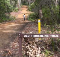 Old Timberline and Sidings Rail Trails - Accommodation Batemans Bay