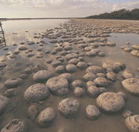Lake Clifton Thrombolites - Accommodation Batemans Bay