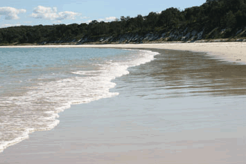 Dolphin Watch Cruises - Accommodation Batemans Bay 5