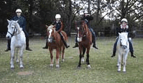 Valhalla Horse Riding - Accommodation Batemans Bay 1
