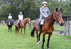 Valhalla Horse Riding - Accommodation Batemans Bay 2