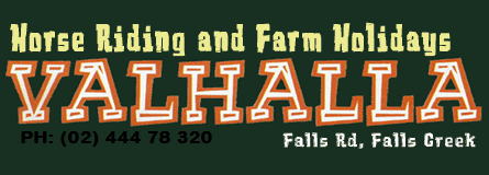 Valhalla Horse Riding - Accommodation Batemans Bay 4