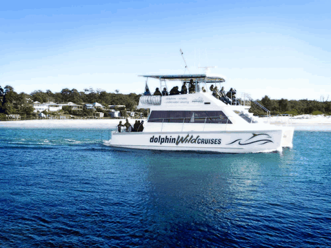 Dolphin Wild Cruises - Accommodation Batemans Bay 1