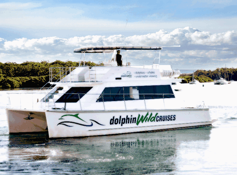 Dolphin Wild Cruises - Accommodation Batemans Bay 2
