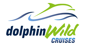 Dolphin Wild Cruises - Accommodation Batemans Bay 4