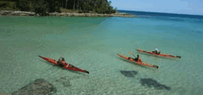 Jervis Bay Kayak & Paddlesports - Accommodation Batemans Bay 4