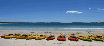 Jervis Bay Kayak & Paddlesports - Accommodation Batemans Bay 5