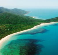 Jungle Tours and Trekking - Accommodation Batemans Bay