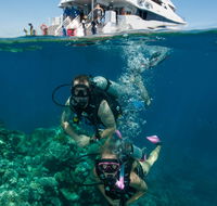 Down Under Cruise and Dive - Accommodation Batemans Bay