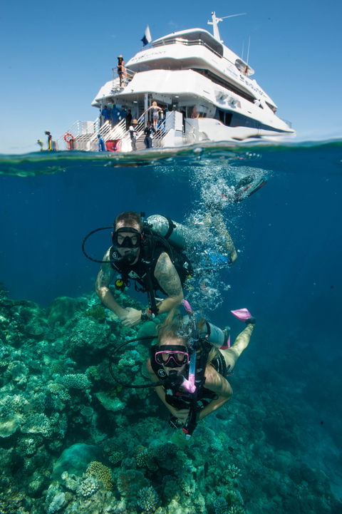 Down Under Cruise And Dive - Accommodation Batemans Bay 0