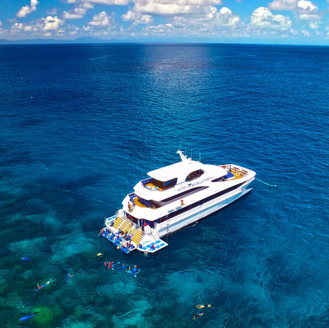 Down Under Cruise And Dive - Accommodation Batemans Bay 1