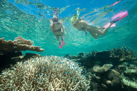 Down Under Cruise And Dive - Accommodation Batemans Bay 4