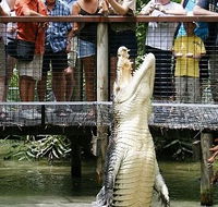 Hartley's Crocodile Adventures - Accommodation Batemans Bay