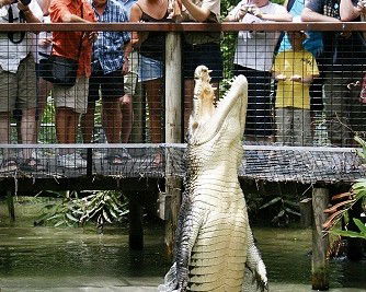 Hartley's Crocodile Adventures - Accommodation Batemans Bay 0