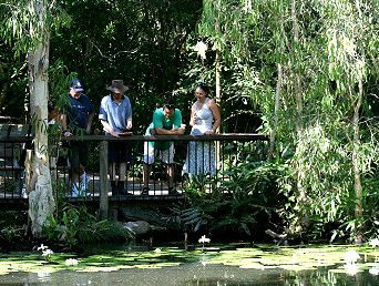 Hartley's Crocodile Adventures - Accommodation Batemans Bay 2