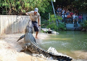 Hartley's Crocodile Adventures - Accommodation Batemans Bay 4