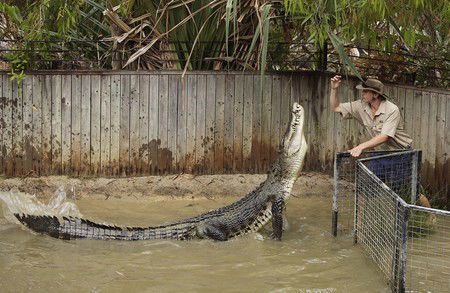 Hartley's Crocodile Adventures - Accommodation Batemans Bay 8