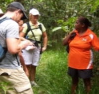 Ingan Tours - Spirit of the Rainforest Tour - Accommodation Batemans Bay
