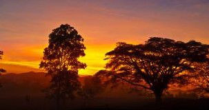 Ingan Tours - Spirit Of The Rainforest Tour - Accommodation Batemans Bay 3