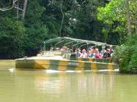 Rainforestation Nature Park - Accommodation Batemans Bay 4