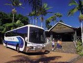Rainforestation Nature Park - Accommodation Batemans Bay 5