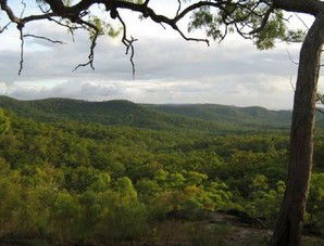 Cooktown Aboriginal Art Tours - Accommodation Batemans Bay 1