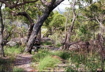 Cooktown Aboriginal Art Tours - Accommodation Batemans Bay 2