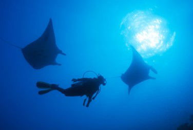 Adrenalin Snorkel And Dive - Accommodation Batemans Bay 1