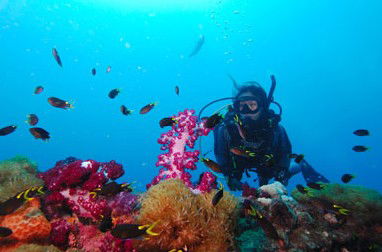 Adrenalin Snorkel And Dive - Accommodation Batemans Bay 3