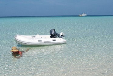 Adrenalin Snorkel And Dive - Accommodation Batemans Bay 4