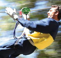 Adventure Parc - Accommodation Batemans Bay