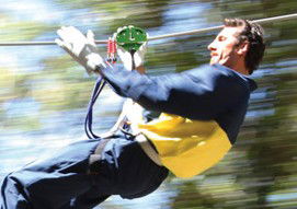 Adventure Parc - Accommodation Batemans Bay 0
