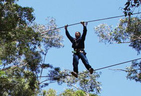 Adventure Parc - Accommodation Batemans Bay 2