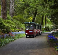 Araluen Botanic Park - Accommodation Batemans Bay