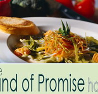 Land of Promise Hotel - Accommodation Batemans Bay