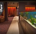 AB Hotel - Accommodation Batemans Bay