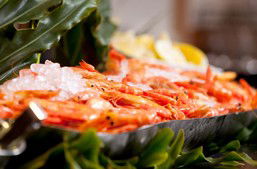 Food Fantasy - Accommodation Batemans Bay 0