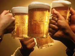 Packers Camp QLD Accommodation Batemans Bay