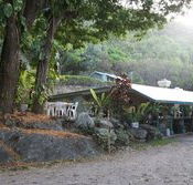 Ellis Beach Bar  Grill - Accommodation Batemans Bay