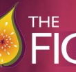 Pickled Fig - Accommodation Batemans Bay
