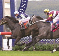 Gosford Race Club - Accommodation Batemans Bay