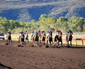 Alice Springs Turf Club - Accommodation Batemans Bay 6