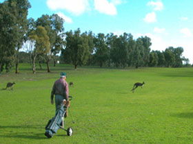 Boston SA Accommodation Batemans Bay