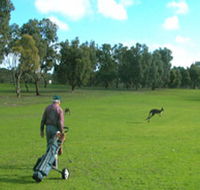 Coffin Bay Golf Club - Accommodation Batemans Bay