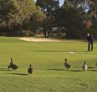Royal Hobart Golf Club - Accommodation Batemans Bay
